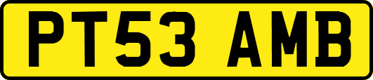 PT53AMB