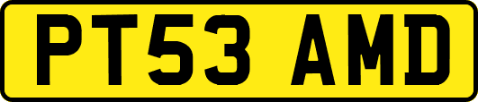 PT53AMD