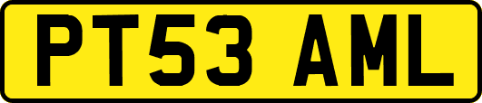PT53AML