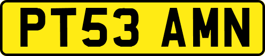 PT53AMN