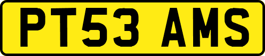 PT53AMS