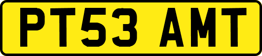 PT53AMT
