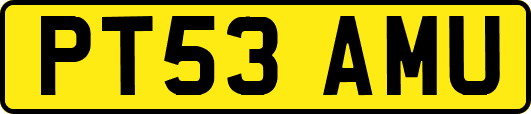 PT53AMU