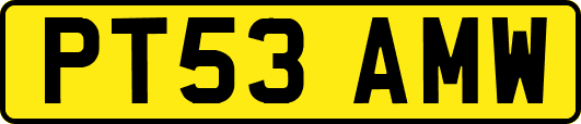 PT53AMW