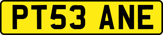 PT53ANE