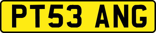 PT53ANG