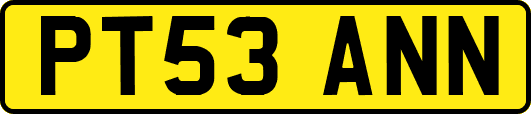 PT53ANN