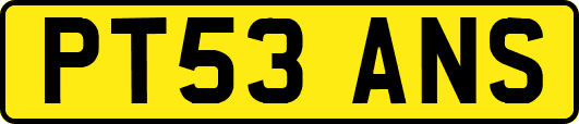 PT53ANS