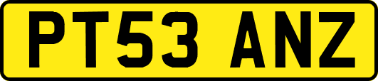 PT53ANZ