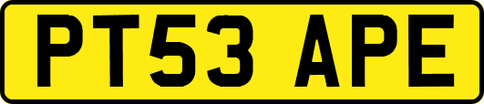 PT53APE
