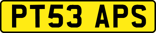 PT53APS