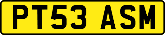 PT53ASM
