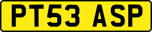 PT53ASP
