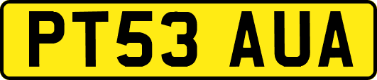 PT53AUA