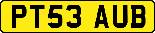 PT53AUB