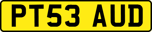 PT53AUD
