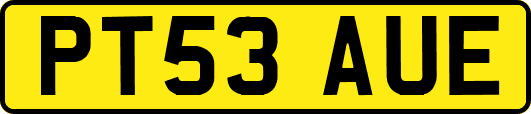 PT53AUE