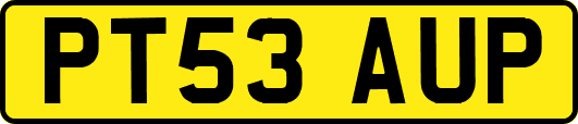 PT53AUP