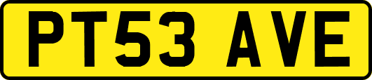 PT53AVE