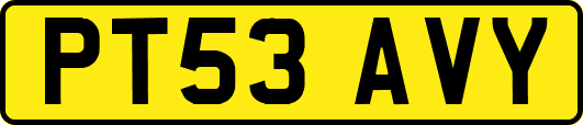 PT53AVY