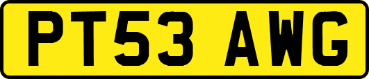 PT53AWG