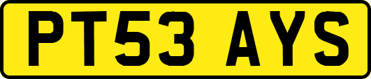 PT53AYS