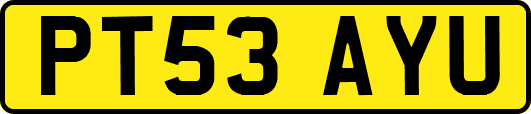 PT53AYU