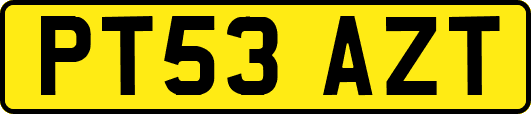 PT53AZT