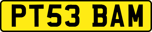 PT53BAM