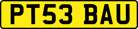 PT53BAU