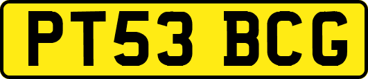 PT53BCG