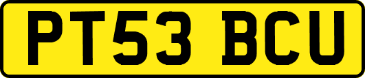 PT53BCU