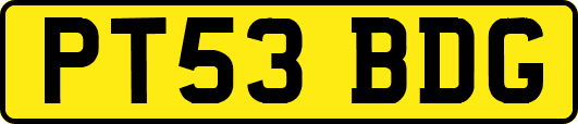 PT53BDG