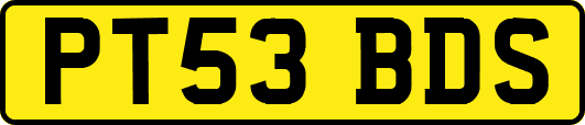 PT53BDS