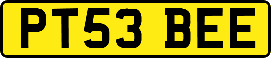 PT53BEE