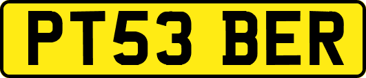 PT53BER