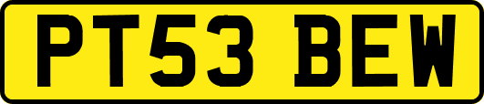 PT53BEW