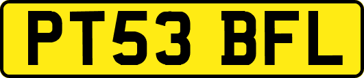 PT53BFL