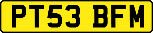 PT53BFM