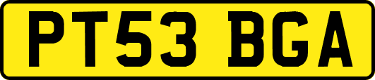 PT53BGA