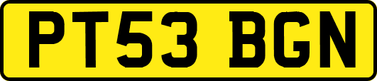 PT53BGN