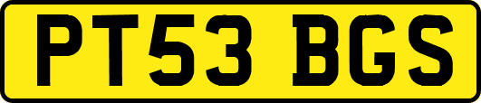 PT53BGS