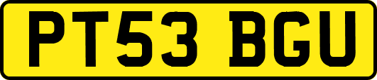 PT53BGU