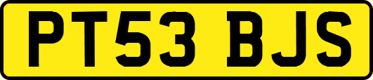 PT53BJS