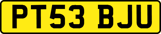 PT53BJU
