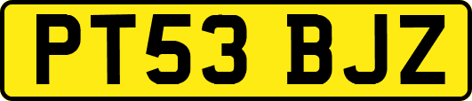 PT53BJZ