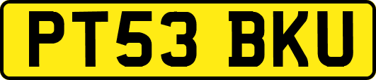 PT53BKU