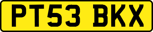 PT53BKX