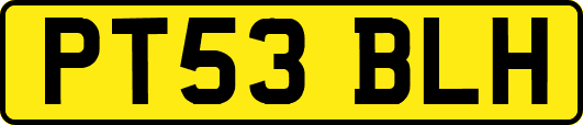 PT53BLH