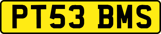 PT53BMS